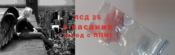 крисы Нея