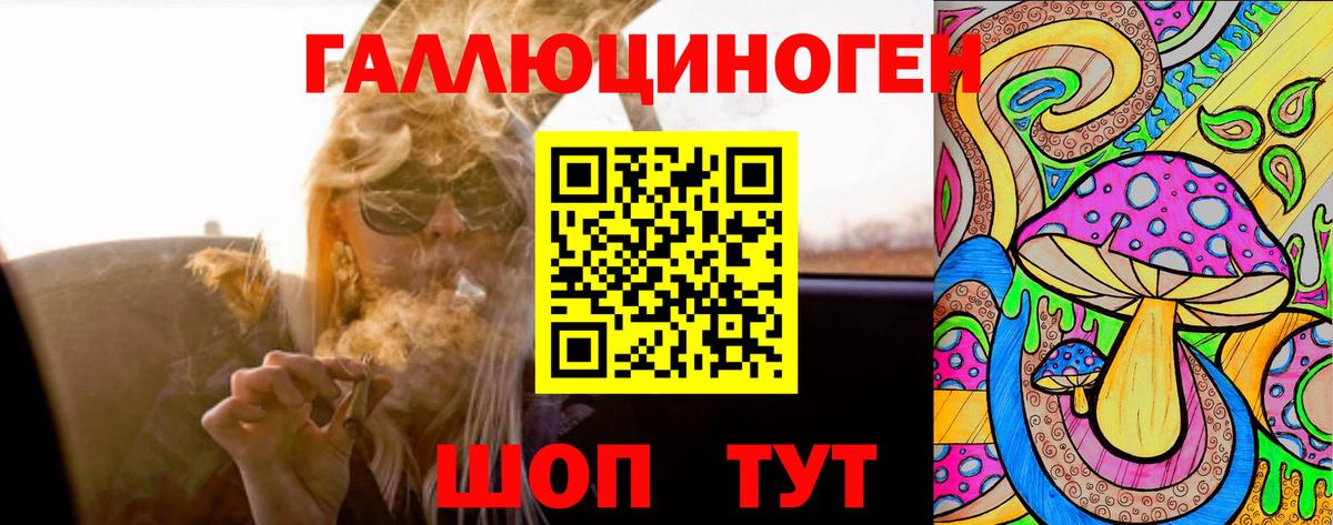 Галлюциногенные грибы прущие грибы  Вход с VPN  Тамбов 